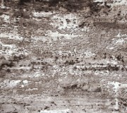 Синтетический ковер JAMILA GOLD 15634 , SAND BEIGE - высокое качество по лучшей цене в Украине.